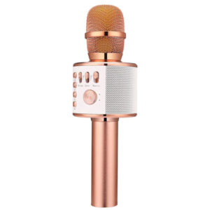 Q37 Portable Karaoke Microphone