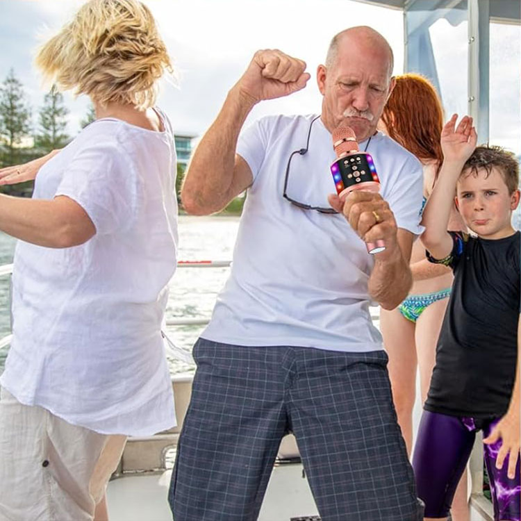 A kids karaoke microphone on a stand, ready for a family party
